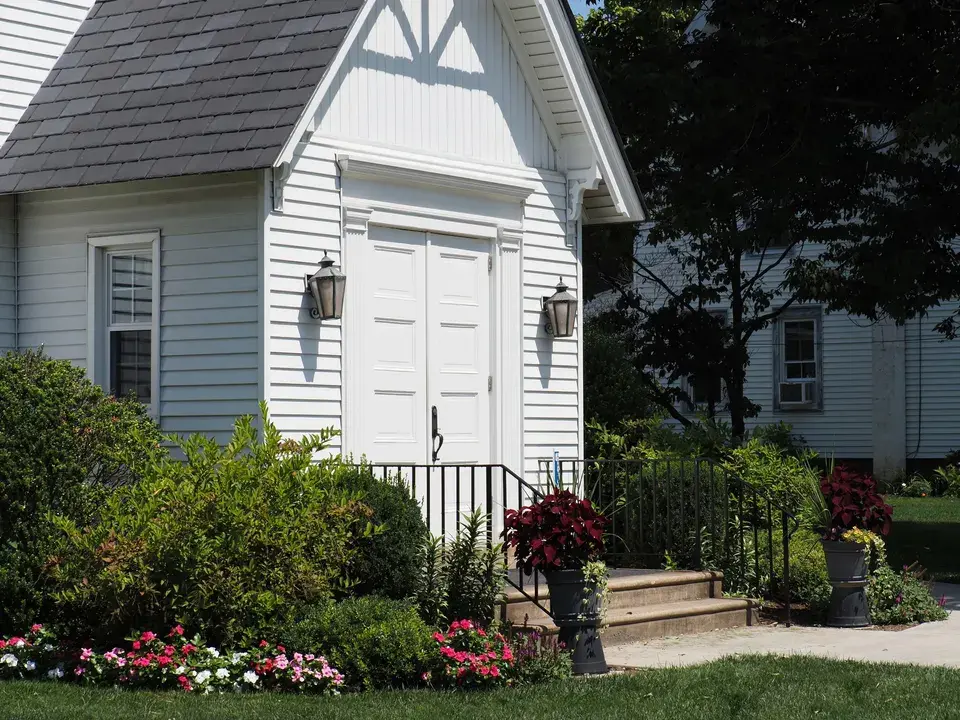 mold removal Austintown