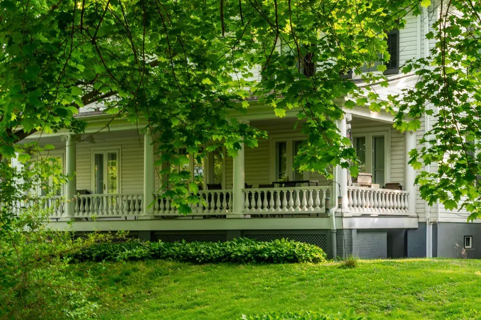 mold removal Bolindale