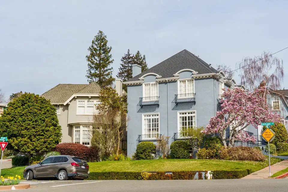 mold removal McKinley Heights